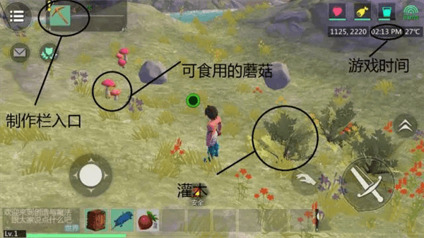 新手攻略配图2