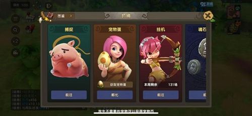 石器时代M葫芦系宠物玩法攻略