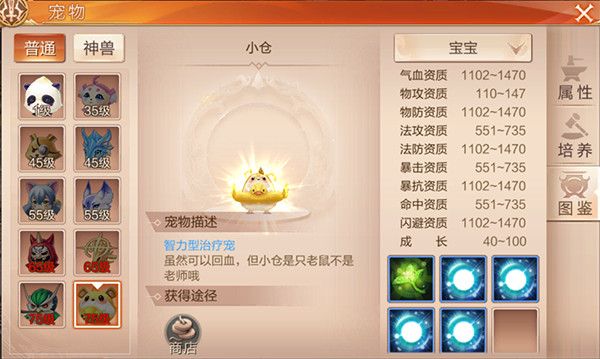 天空纪元n服图片8