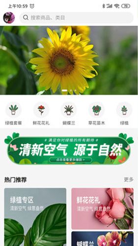 卉易购图片