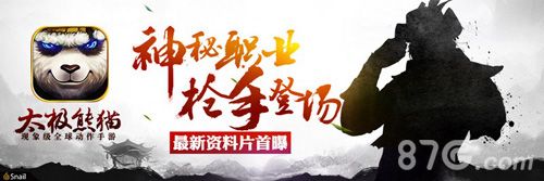 太极熊猫神秘枪手职业图一