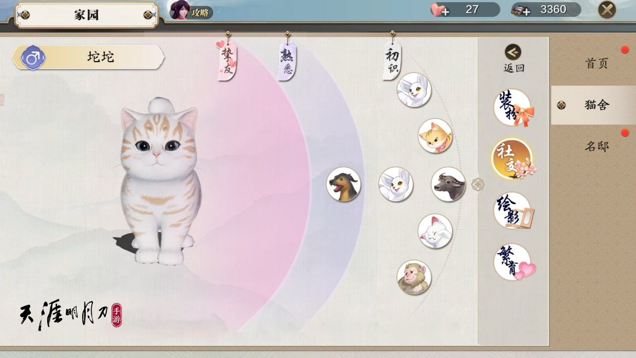 萌宠猫咪图2