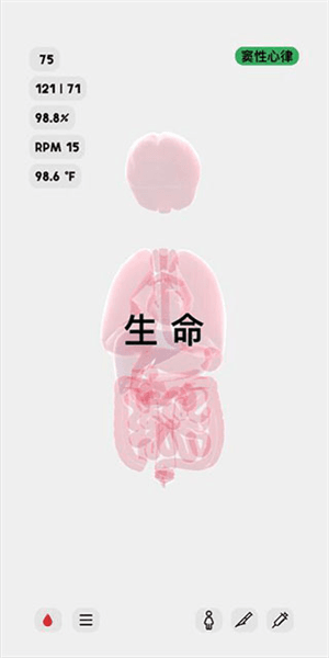 切换中文语言教程配图5