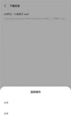 歌词适配器app4