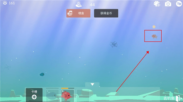 怎么将鱼放水族馆里配图4