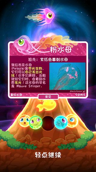 罕见鱼攻略配图5