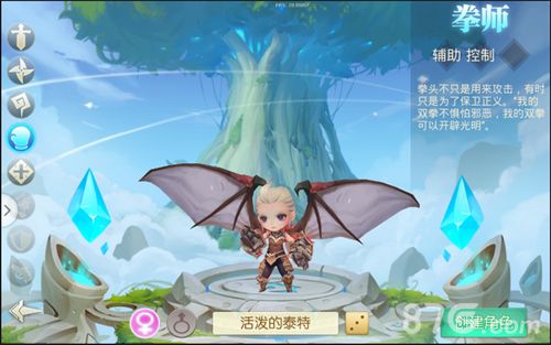 魔力奇兵拳师