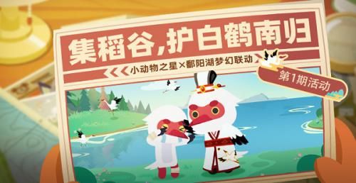小动物之星2