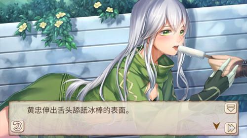 姬魔恋战纪