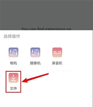 kiwi浏览器中文官方版12