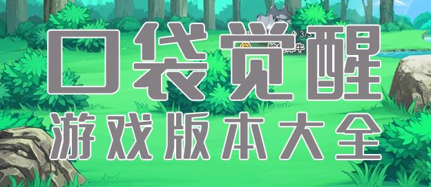 口袋觉醒版本大全