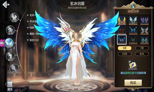翅膀外观