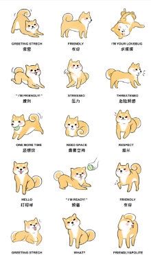 狗语翻译人狗交流器3