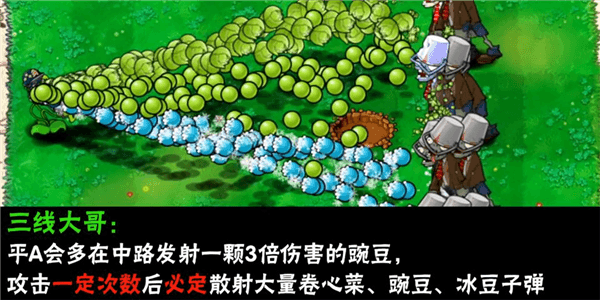 植物介绍配图13