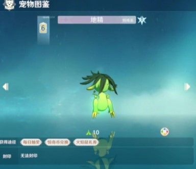 宠物推荐配图2