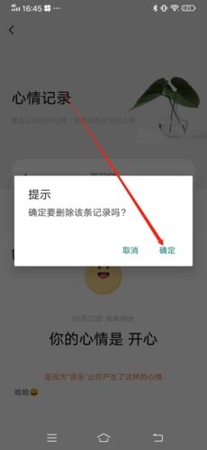 岁岁app13