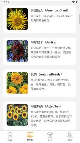 向阳流量app
