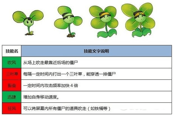 植物介绍配图8