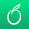 青果摄像机app