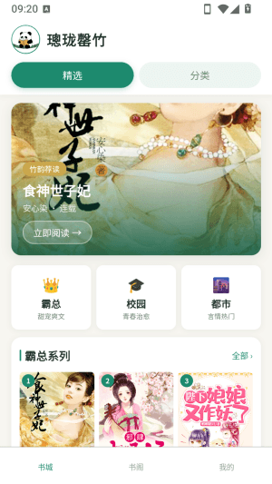 璁珑罄竹怎么看小说配图1