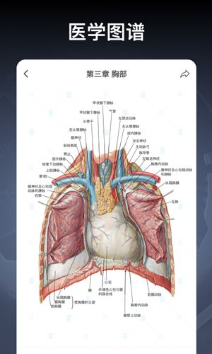 创序医考app