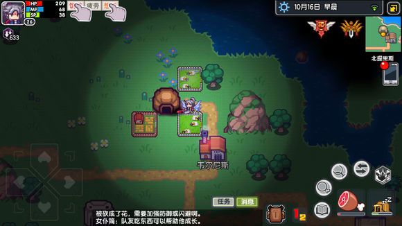 伊洛纳图片