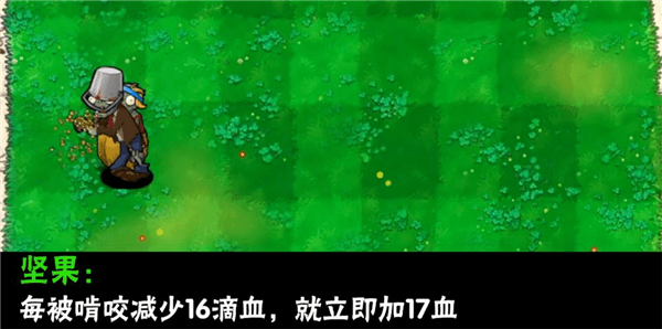 植物介绍配图3