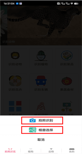 拍照识花app3