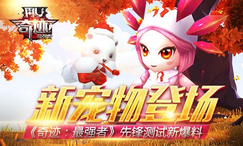奇迹:最强者新宠物登场