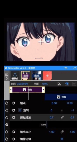 nodevideo光流6.0图片16
