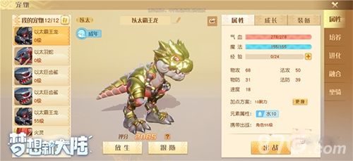 梦想新大陆宠物