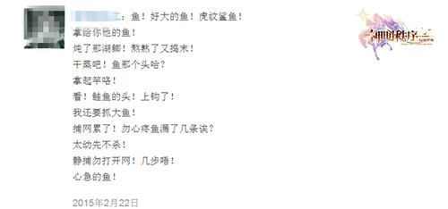 神明秩序·幻域神姬 2