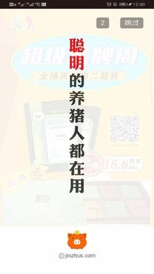 金猪1