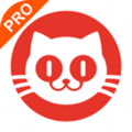 猫眼专业版app官方下载_猫眼专业版实时票房下载 v8.12.2安卓版