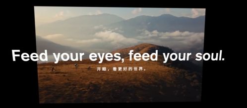开眼app宣传图