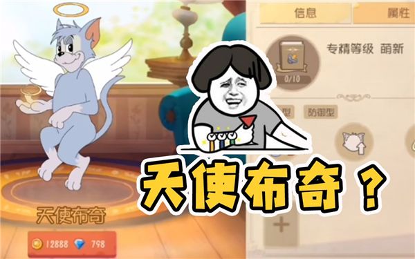 猫的强度排名配图3