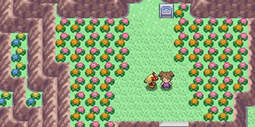 pokemmoROM资源包游戏特色
