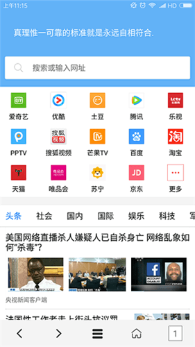 vip浏览器旧版图片2