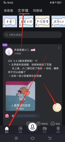 声昔怎么发文字1