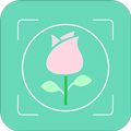 拍照识花app