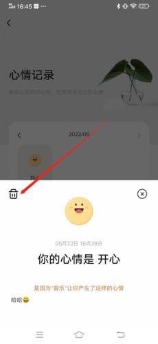 岁岁app12