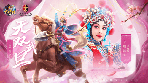 小浣熊百将传2