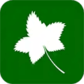 爬山虎灵活用工app