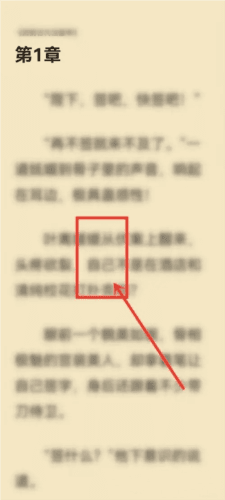 西瓜小说app7