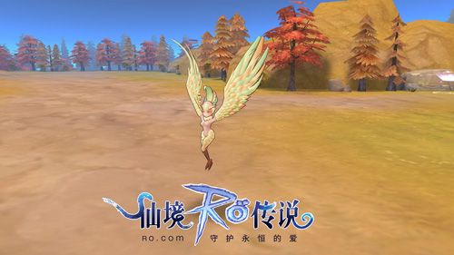 仙境传说RO:守护永恒的爱4