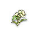我的侠客昙花怎么获得