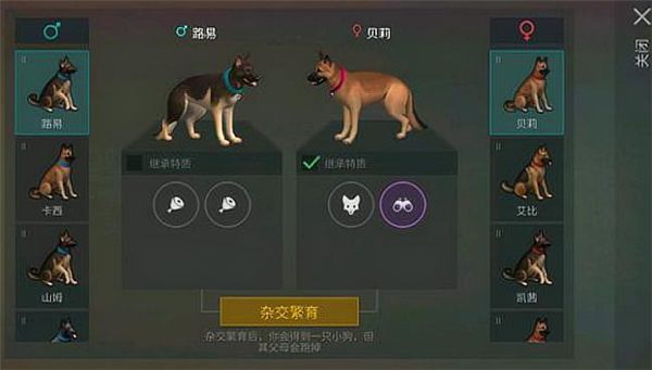 怎么带狗配图3