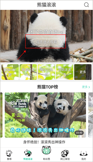 怎么看直播配图1