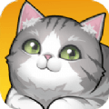 养了个猫