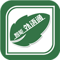 外语通教师版